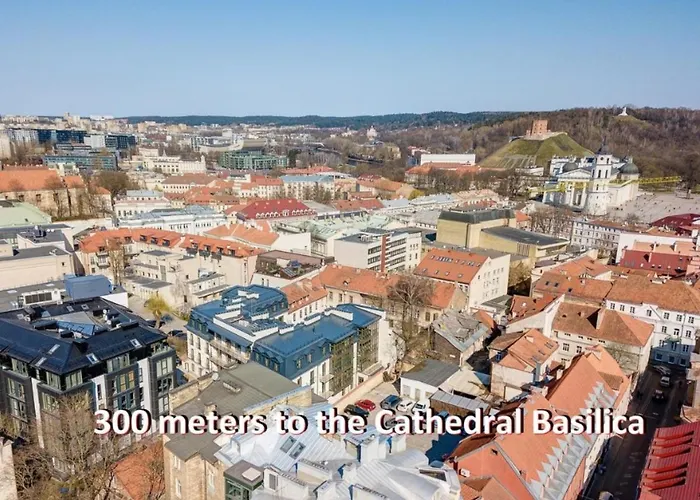 Happy Classical Style, Self Check-in, Parking In The Underground Garage Apartman Vilnius