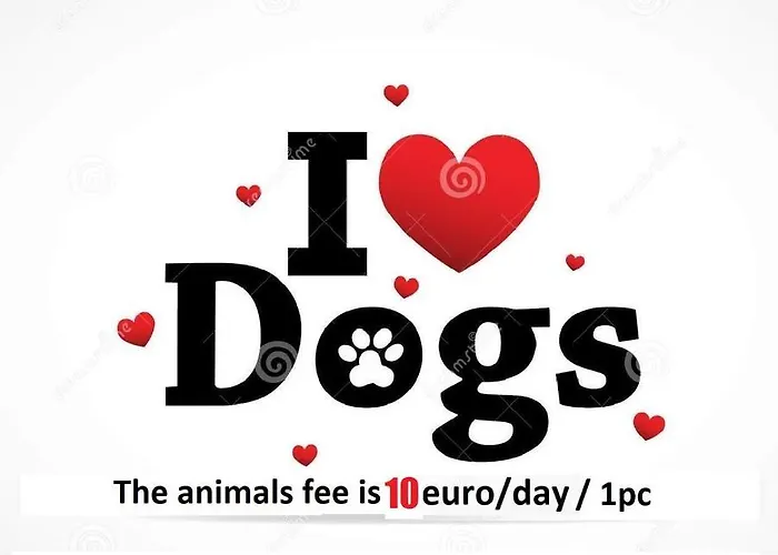 Happy Classical Style, Self Check-in, Parking In The Underground Garage *